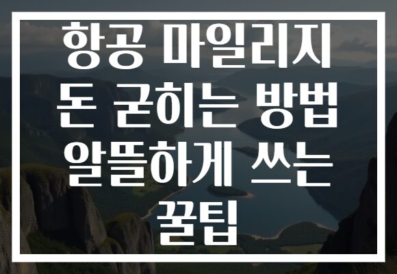 항공 마일리지 돈 굳히는 방법 알뜰하게 쓰는 꿀팁