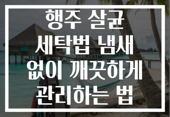 행주 살균 세탁법 냄새 없이 깨끗하게 관리하는 법