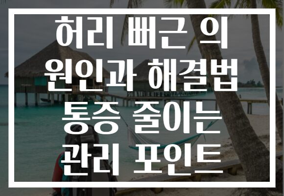 허리 뻐근 의 원인과 해결법 통증 줄이는 관리 포인트