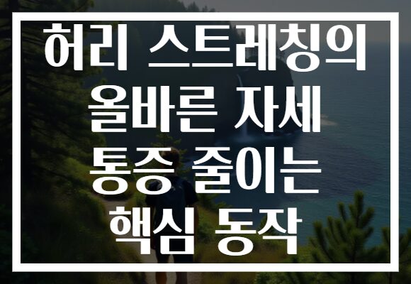허리 스트레칭의 올바른 자세 통증 줄이는 핵심 동작