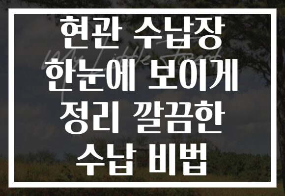 현관 수납장 한눈에 보이게 정리 깔끔한 수납 비법