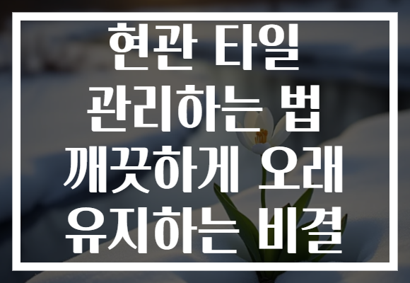 현관 타일 관리하는 법 깨끗하게 오래 유지하는 비결