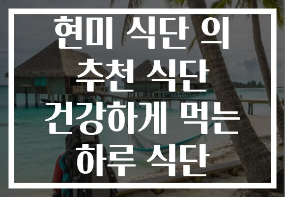 현미 식단 의 추천 식단 건강하게 먹는 하루 식단