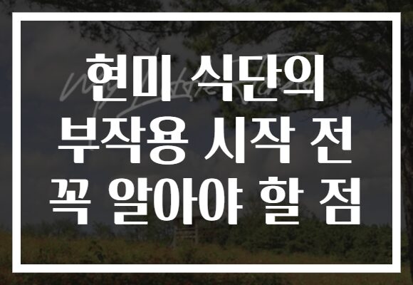 현미 식단의 부작용 시작 전 꼭 알아야 할 점
