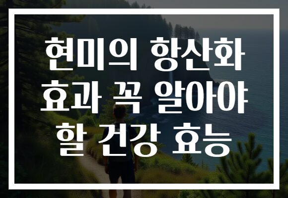 현미의 항산화 효과 꼭 알아야 할 건강 효능