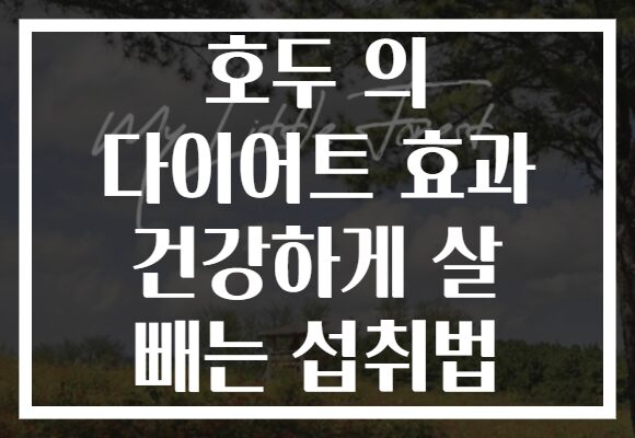 호두 의 다이어트 효과 건강하게 살 빼는 섭취법