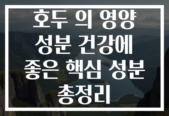 호두 의 영양 성분 건강에 좋은 핵심 성분 총정리