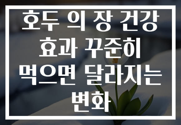 호두 의 장 건강 효과 꾸준히 먹으면 달라지는 변화