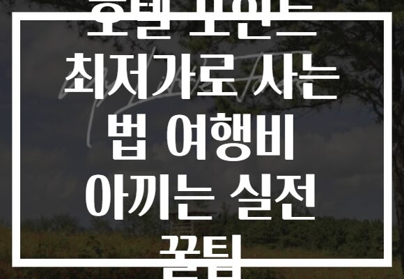호텔 포인트 최저가로 사는 법 여행비 아끼는 실전 꿀팁