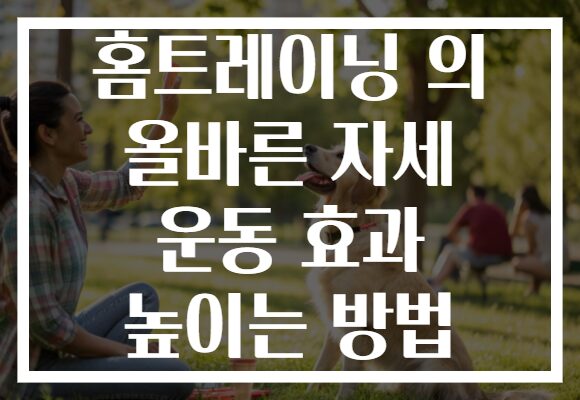 홈트레이닝 의 올바른 자세 운동 효과 높이는 방법