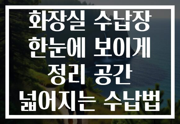 화장실 수납장 한눈에 보이게 정리 공간 넓어지는 수납법
