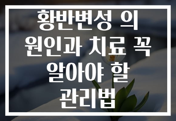 황반변성 의 원인과 치료 꼭 알아야 할 관리법