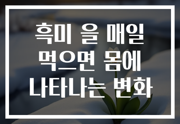 흑미 을 매일 먹으면 몸에 나타나는 변화