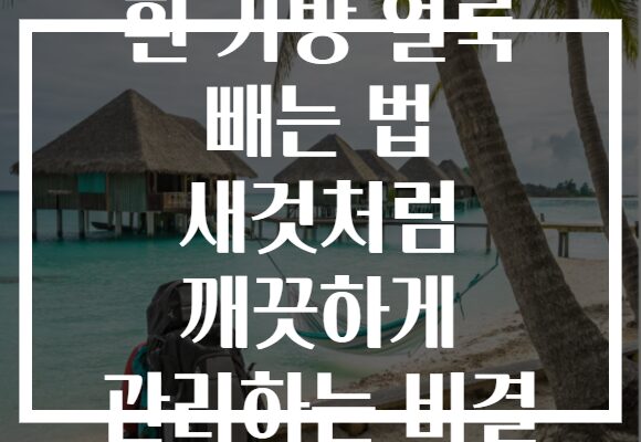 흰 가방 얼룩 빼는 법 새것처럼 깨끗하게 관리하는 비결