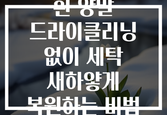 흰 양말 드라이클리닝 없이 세탁 새하얗게 복원하는 비법