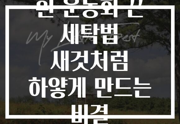 흰 운동화 끈 세탁법 새것처럼 하얗게 만드는 비결