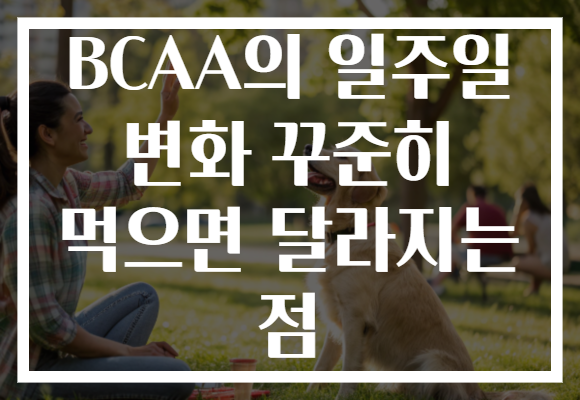 BCAA의 일주일 변화 꾸준히 먹으면 달라지는 점
