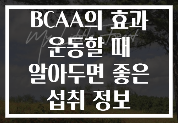 BCAA의 효과 운동할 때 알아두면 좋은 섭취 정보