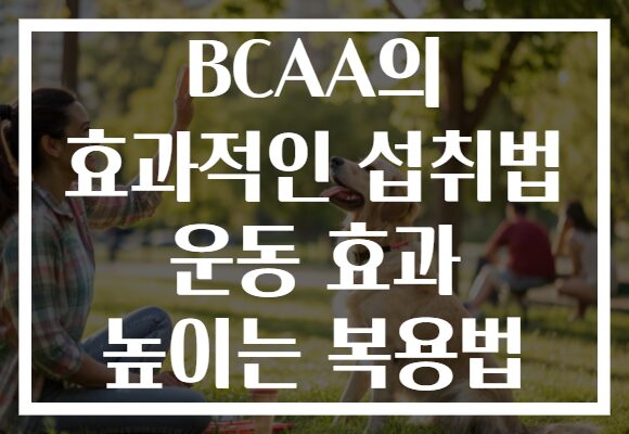 BCAA의 효과적인 섭취법 운동 효과 높이는 복용법