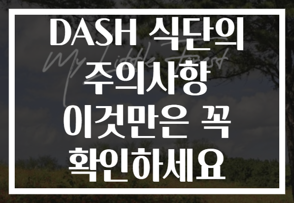 DASH 식단의 주의사항 이것만은 꼭 확인하세요