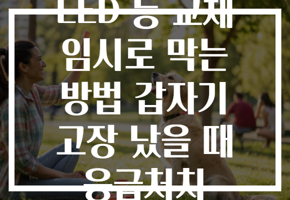 LED 등 교체 임시로 막는 방법 갑자기 고장 났을 때 응급처치