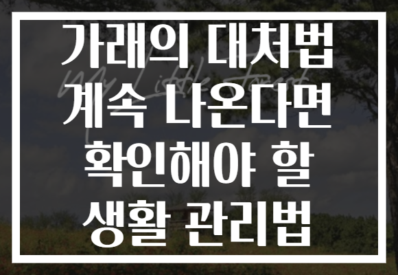 가래의 대처법 계속 나온다면 확인해야 할 생활 관리법
