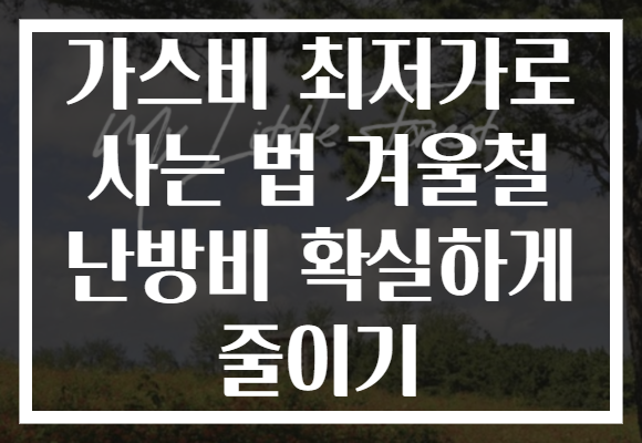가스비 최저가로 사는 법 겨울철 난방비 확실하게 줄이기