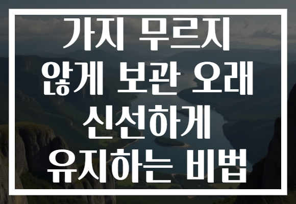 가지 무르지 않게 보관 오래 신선하게 유지하는 비법