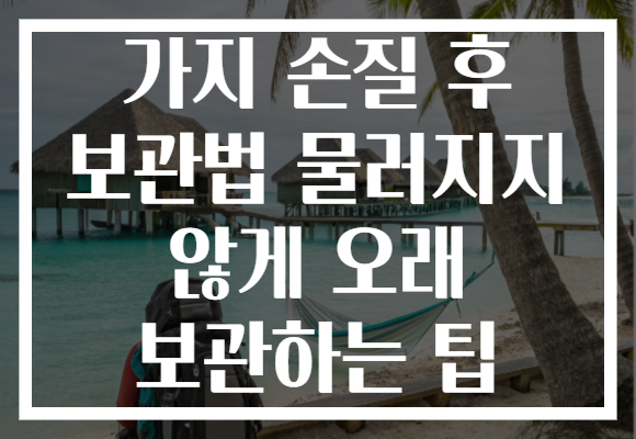 가지 손질 후 보관법 물러지지 않게 오래 보관하는 팁