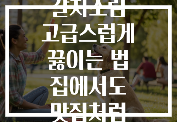 갈치조림 고급스럽게 끓이는 법 집에서도 맛집처럼