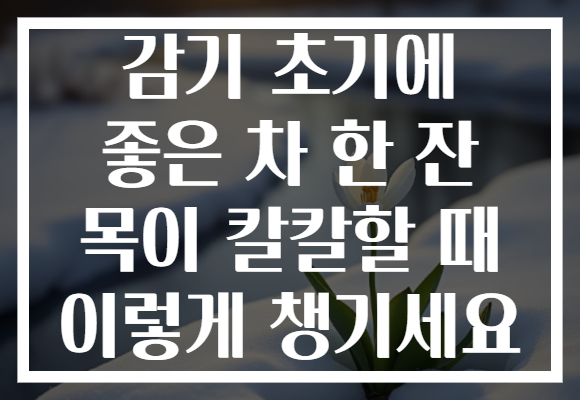 감기 초기에 좋은 차 한 잔 목이 칼칼할 때 이렇게 챙기세요