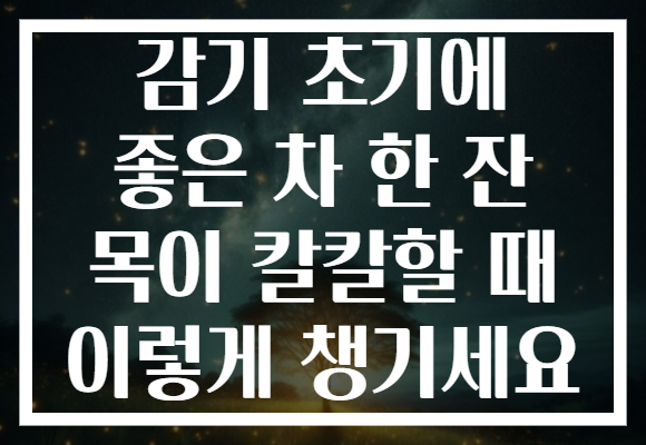감기 초기에 좋은 차 한 잔 목이 칼칼할 때 이렇게 챙기세요