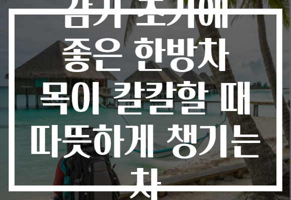 감기 초기에 좋은 한방차 목이 칼칼할 때 따뜻하게 챙기는 차