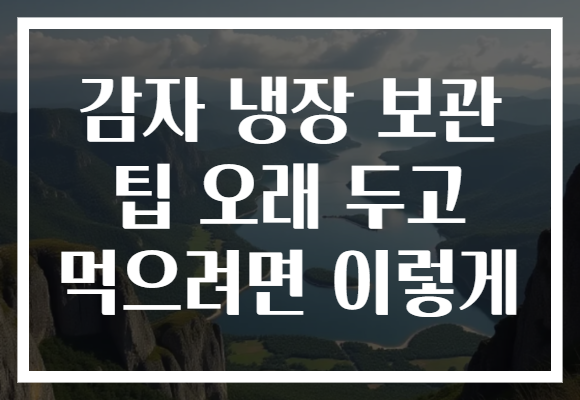 감자 냉장 보관 팁 오래 두고 먹으려면 이렇게
