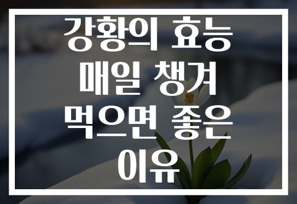 강황의 효능 매일 챙겨 먹으면 좋은 이유