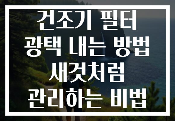 건조기 필터 광택 내는 방법 새것처럼 관리하는 비법