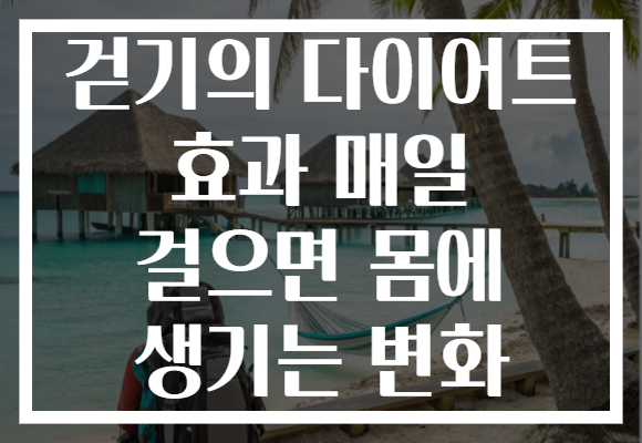 걷기의 다이어트 효과 매일 걸으면 몸에 생기는 변화