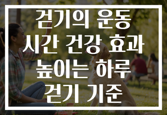 걷기의 운동 시간 건강 효과 높이는 하루 걷기 기준