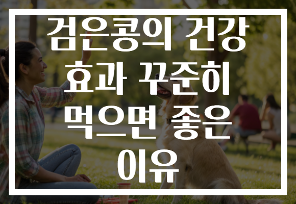 검은콩의 건강 효과 꾸준히 먹으면 좋은 이유