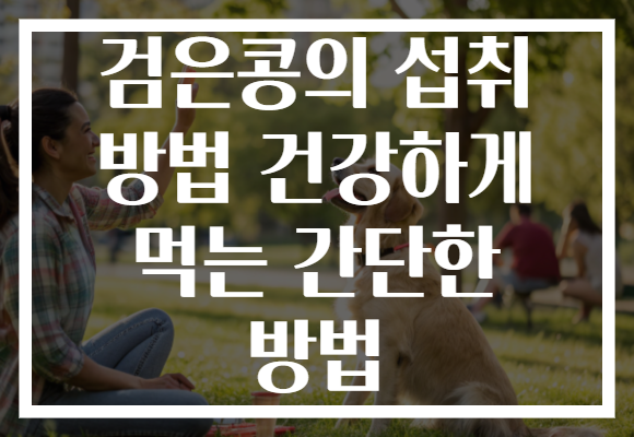 검은콩의 섭취 방법 건강하게 먹는 간단한 방법