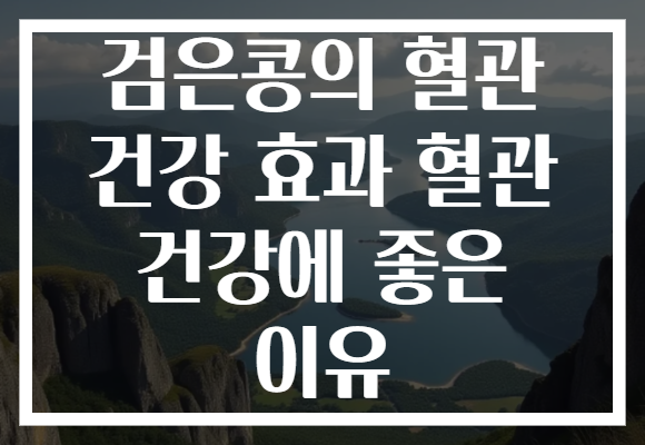 검은콩의 혈관 건강 효과 혈관 건강에 좋은 이유