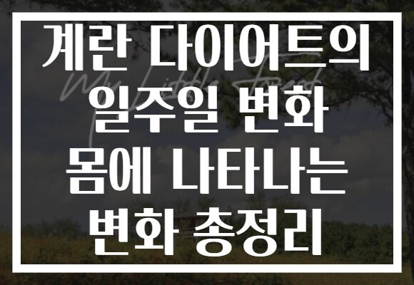 계란 다이어트의 일주일 변화 몸에 나타나는 변화 총정리