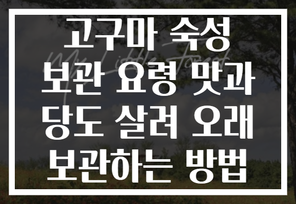 고구마 숙성 보관 요령 맛과 당도 살려 오래 보관하는 방법