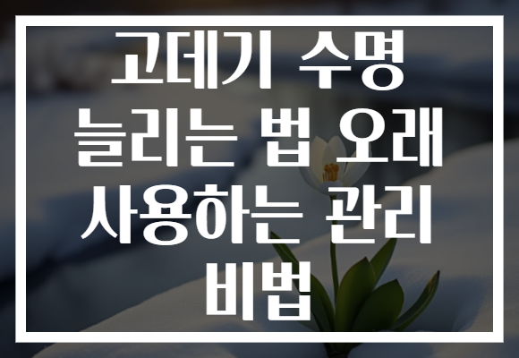 고데기 수명 늘리는 법 오래 사용하는 관리 비법