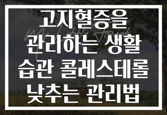 고지혈증을 관리하는 생활 습관 콜레스테롤 낮추는 관리법