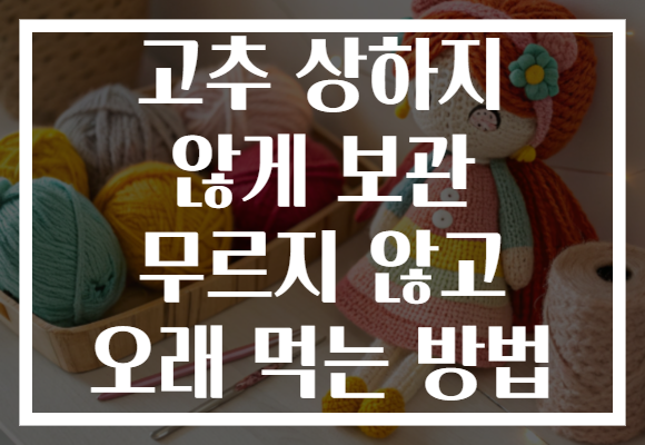 고추 상하지 않게 보관 무르지 않고 오래 먹는 방법