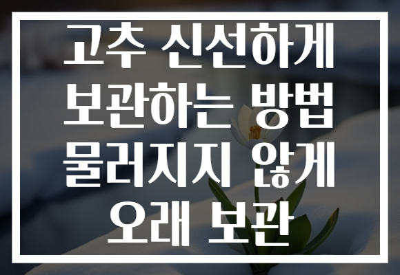 고추 신선하게 보관하는 방법 물러지지 않게 오래 보관