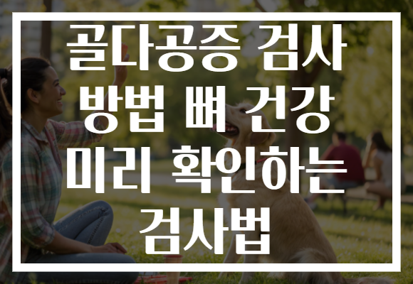 골다공증 검사 방법 뼈 건강 미리 확인하는 검사법