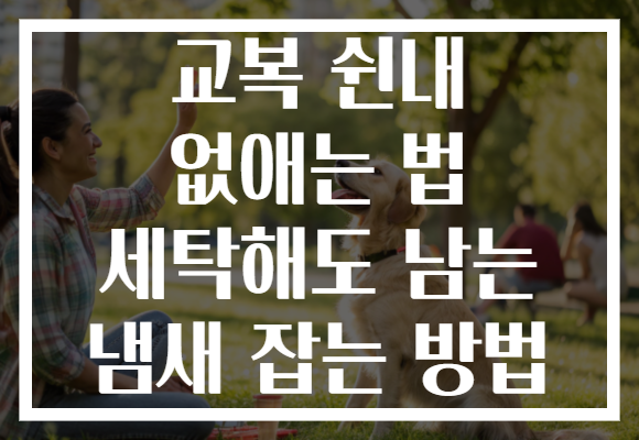 교복 쉰내 없애는 법 세탁해도 남는 냄새 잡는 방법