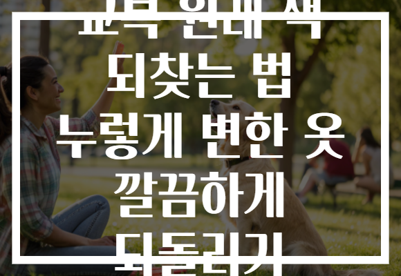 교복 원래 색 되찾는 법 누렇게 변한 옷 깔끔하게 되돌리기